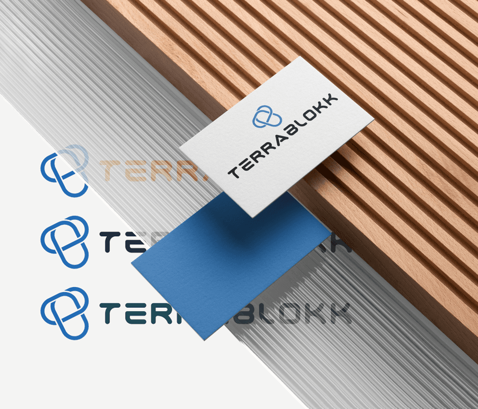 Terrablock — capture 1
